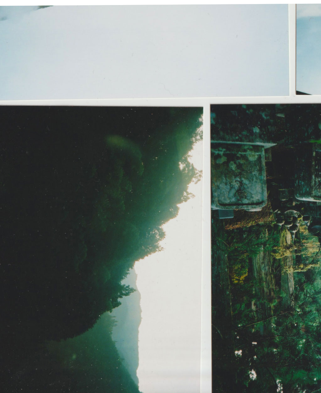 Collage showing a sky with a faint silhouette of a bird in flight, a dimly lit forest scene, and a close-up of moss-covered rock formations.